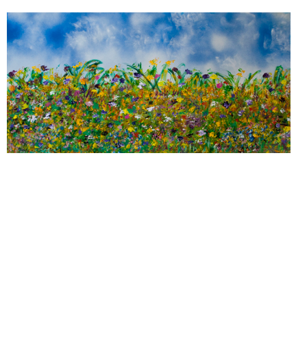 Special Day