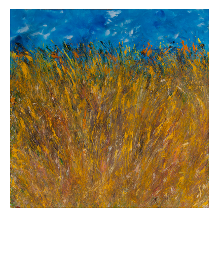 Stormy II